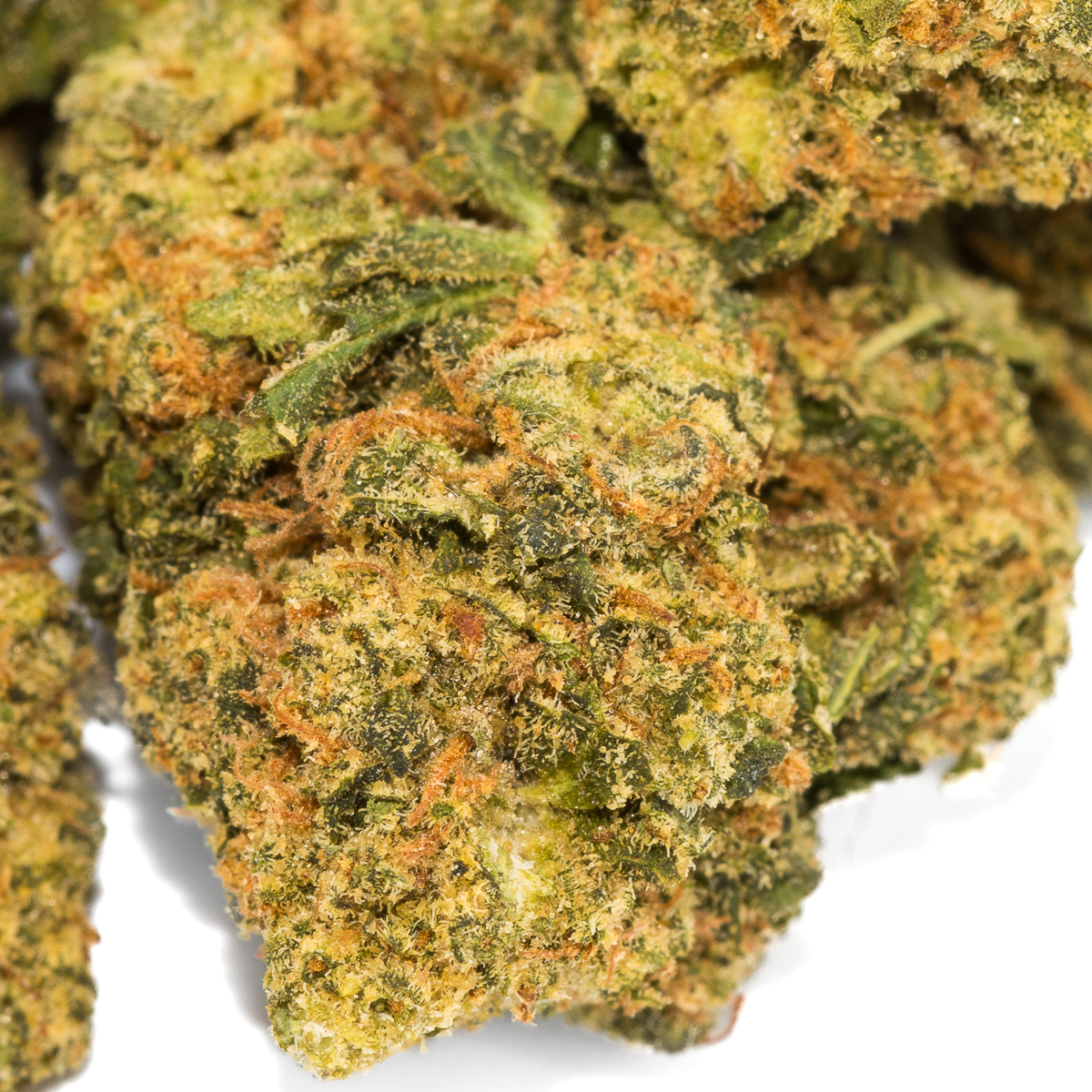 flower-nov24-ghost-train-haze-